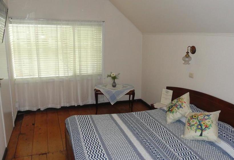 Bed and Breakfast Hospedaje Blauersee | Puerto Varas | Los Lagos | Chile 14