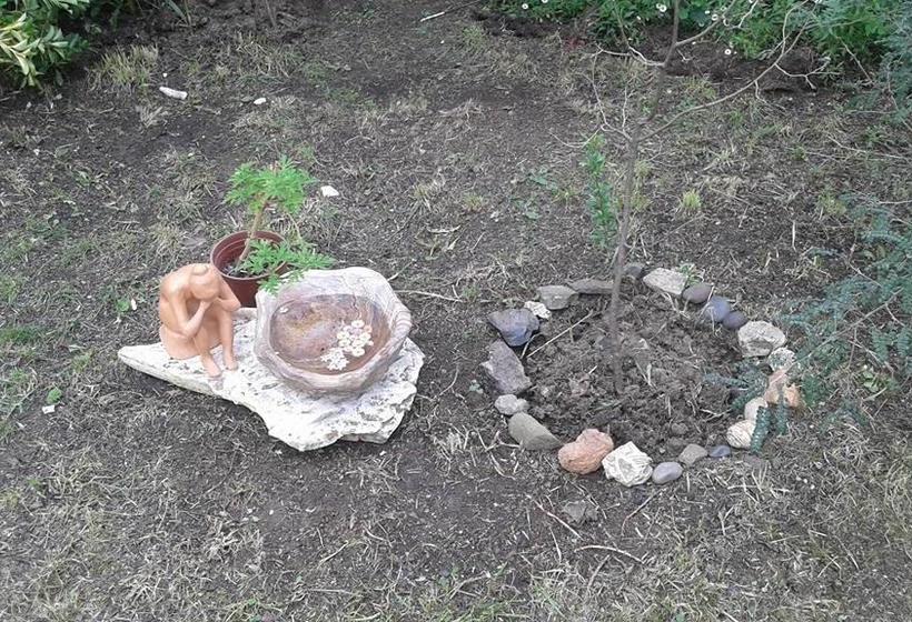 Albergue Casa Zen | Villa Alemana | Valparaiso | Chile 7