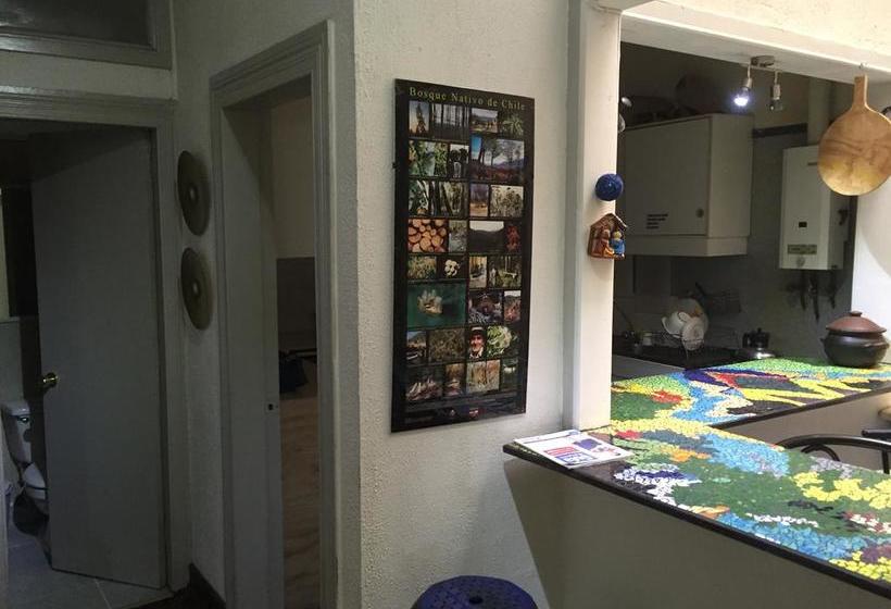 Bed and Breakfast Haus | Viña del Mar | Valparaiso | Chile 12