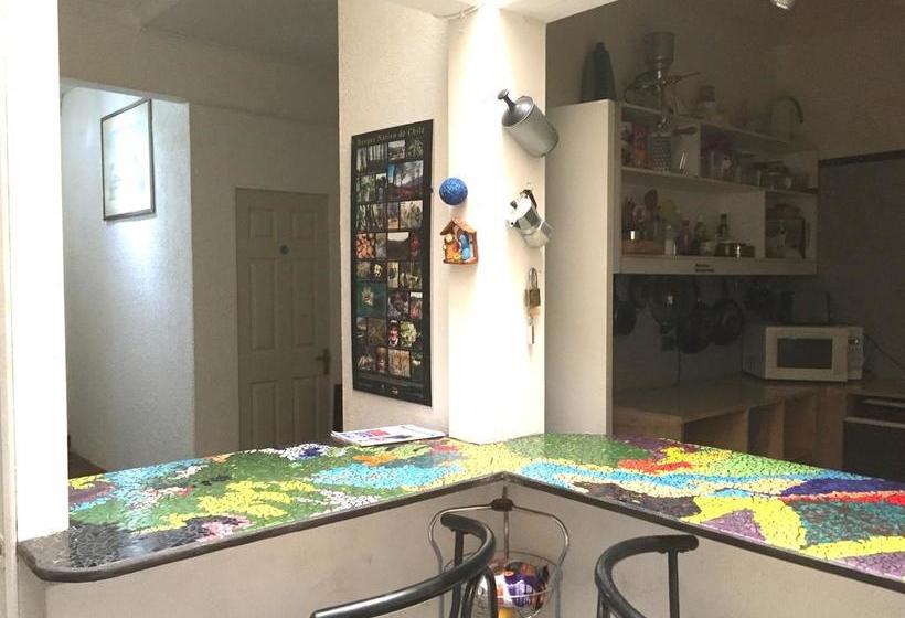 Bed and Breakfast Haus | Viña del Mar | Valparaiso | Chile 5