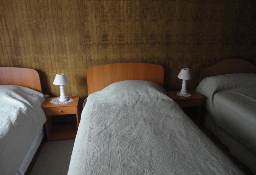 Albergue Hostal 5 Adobes | Puerto Varas | Los Lagos | Chile 6