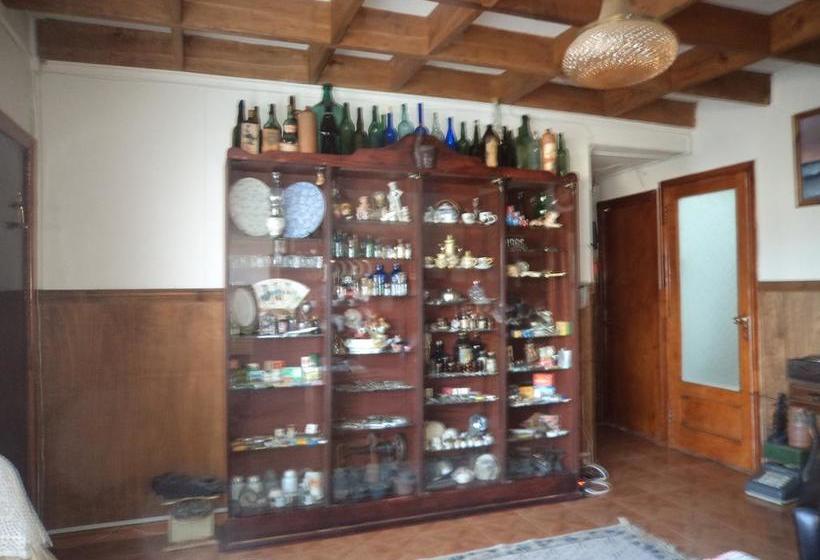 Bed and Breakfast Chez Nous Alojamiento | Punta Arenas | Magallanes y Antartica | Chile 10