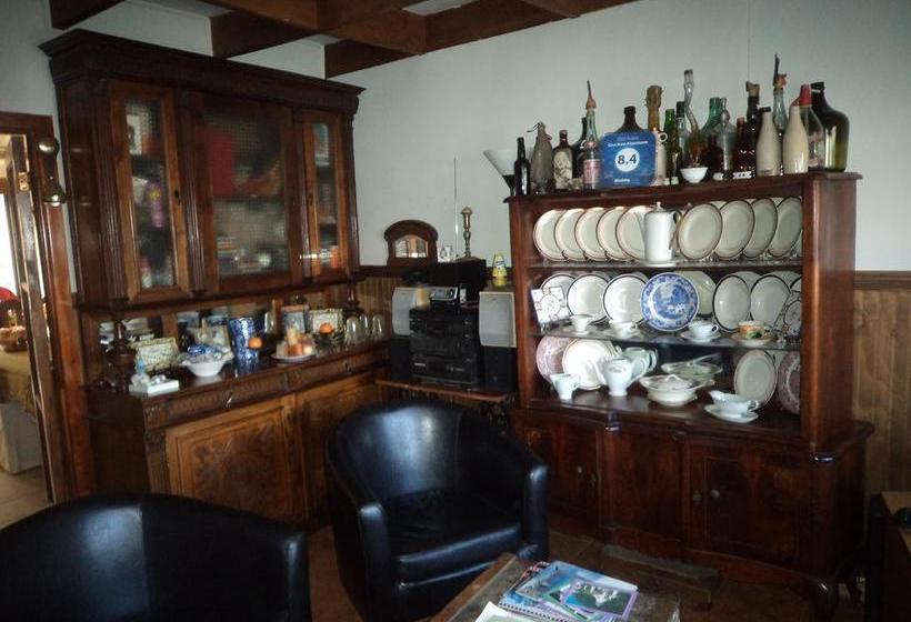 Bed and Breakfast Chez Nous Alojamiento | Punta Arenas | Magallanes y Antartica | Chile 11