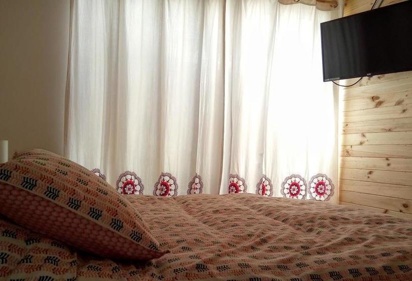 Bed and Breakfast Hostal Casa Amarilla | Talca | Maule | Chile 14