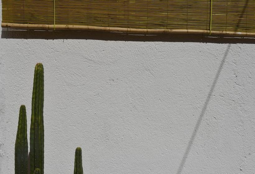 Bed and Breakfast Hostal Casa Amarilla | Talca | Maule | Chile 16