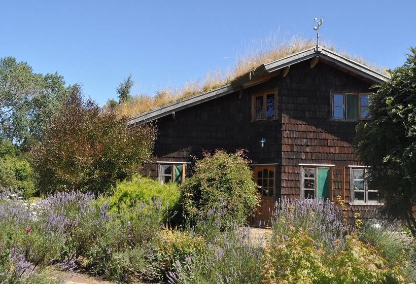 Bed and Breakfast Hostal Zapato Amarillo Puerto Octay