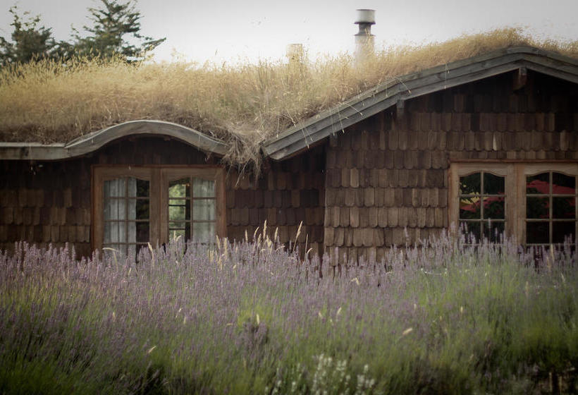 Bed and Breakfast Hostal Zapato Amarillo | Puerto Octay | Los Lagos | Chile 10