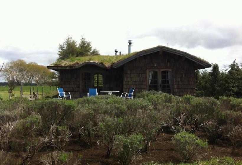 Bed and Breakfast Hostal Zapato Amarillo | Puerto Octay | Los Lagos | Chile 11