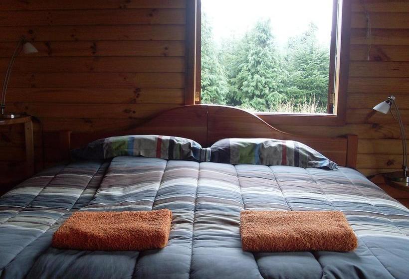 Bed and Breakfast Hostal Zapato Amarillo | Puerto Octay | Los Lagos | Chile 13