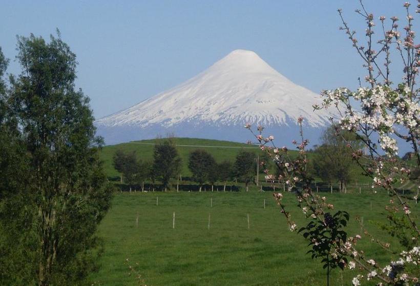 Bed and Breakfast Hostal Zapato Amarillo | Puerto Octay | Los Lagos | Chile 17