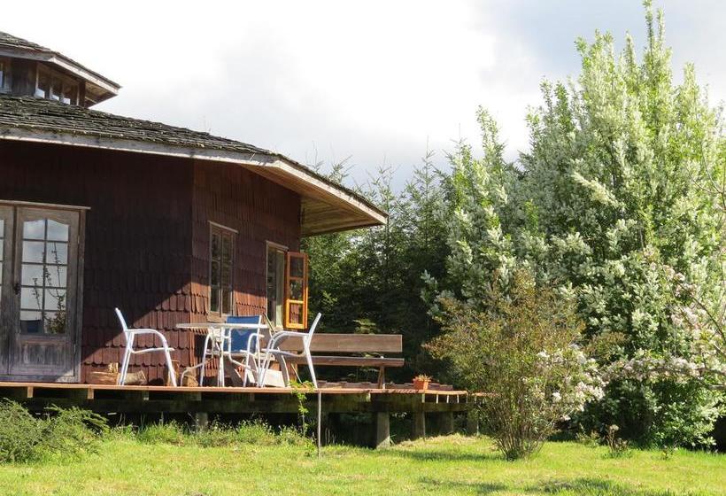 Bed and Breakfast Hostal Zapato Amarillo | Puerto Octay | Los Lagos | Chile 19