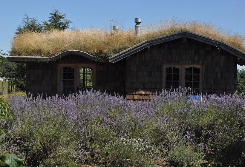 Bed and Breakfast Hostal Zapato Amarillo | Puerto Octay | Los Lagos | Chile 2