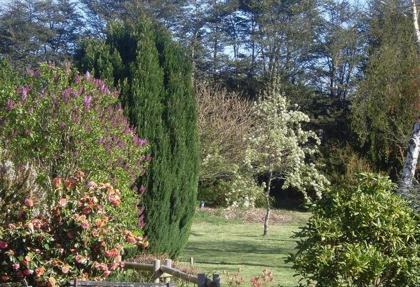 Bed and Breakfast Hostal Zapato Amarillo | Puerto Octay | Los Lagos | Chile 20