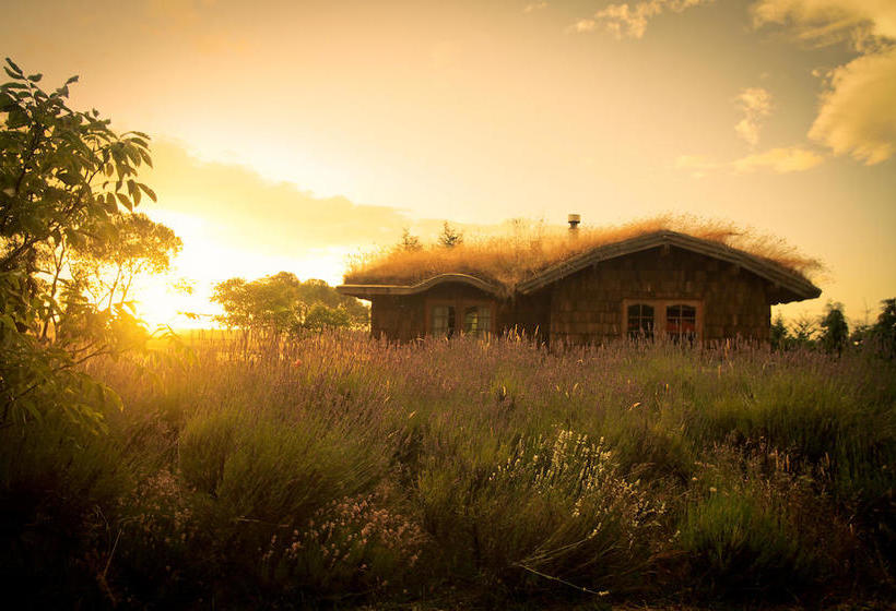 Bed and Breakfast Hostal Zapato Amarillo | Puerto Octay | Los Lagos | Chile 5