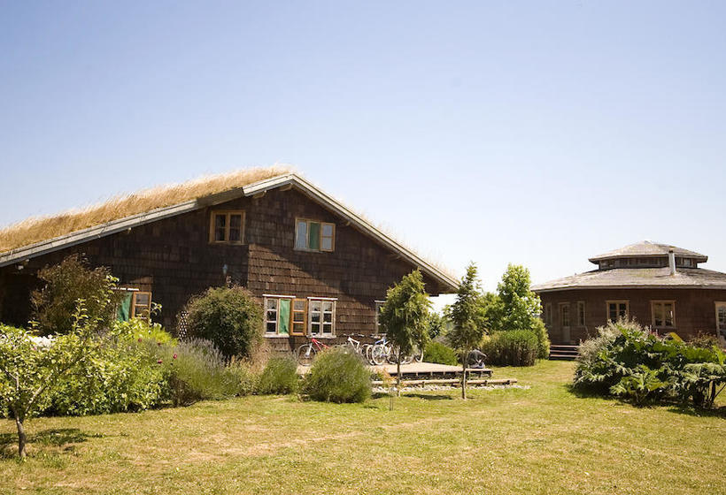 Bed and Breakfast Hostal Zapato Amarillo | Puerto Octay | Los Lagos | Chile 6