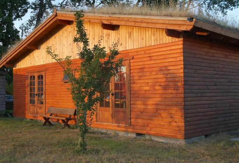 Bed and Breakfast Hostal Zapato Amarillo | Puerto Octay | Los Lagos | Chile 7