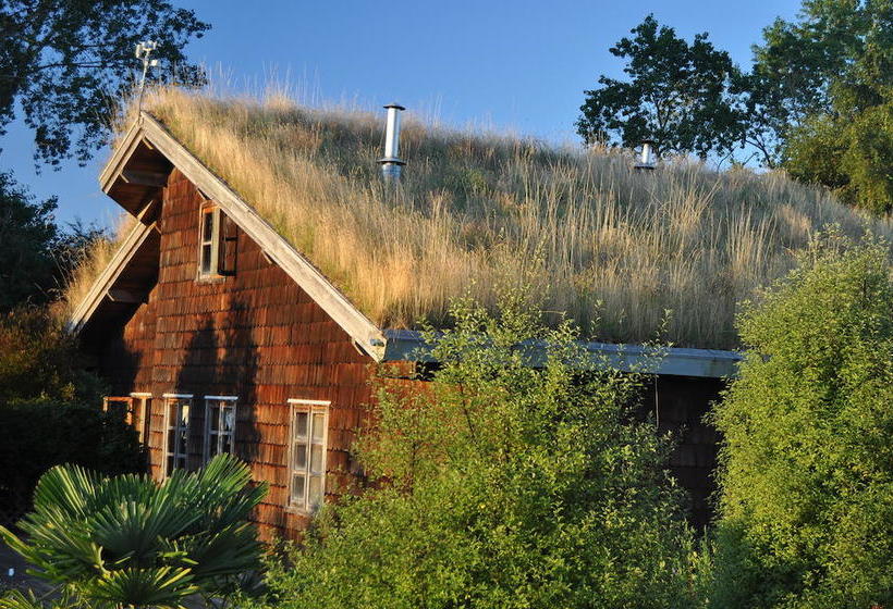 Bed and Breakfast Hostal Zapato Amarillo | Puerto Octay | Los Lagos | Chile 8