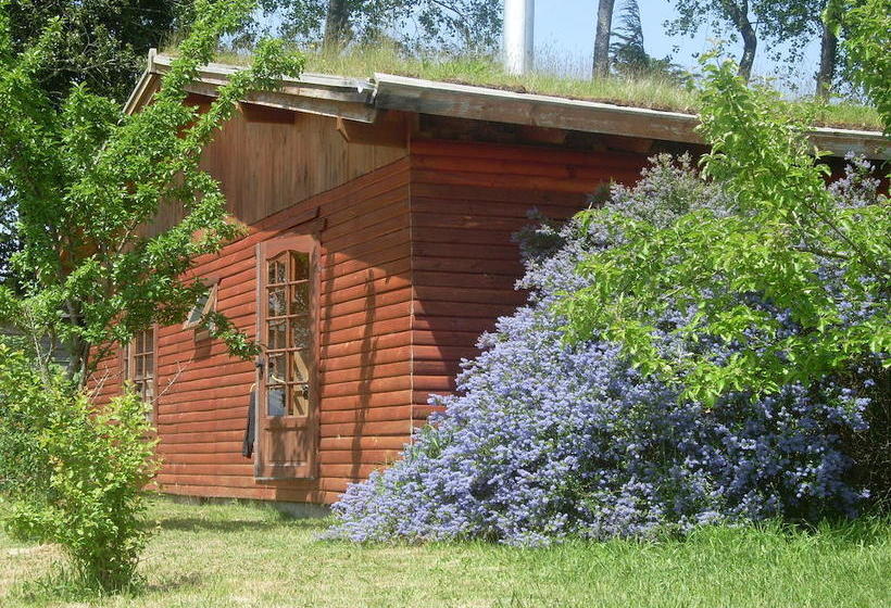 Bed and Breakfast Hostal Zapato Amarillo | Puerto Octay | Los Lagos | Chile 9