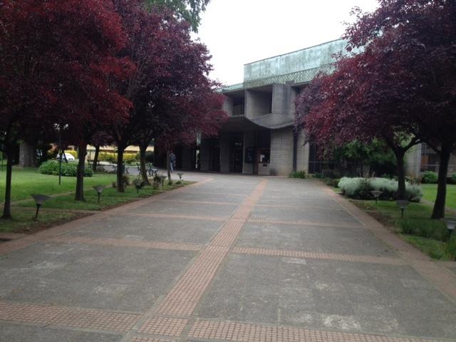 Bed and Breakfast Lafquen | Temuco | Araucanía | Chile 20