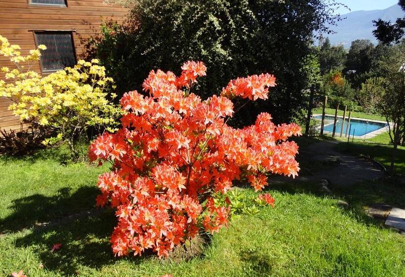 Resort Complejo Turístico Pucón | Pucon | Araucanía | Chile 14