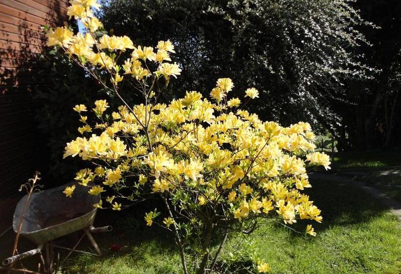 Resort Complejo Turístico Pucón | Pucon | Araucanía | Chile 15