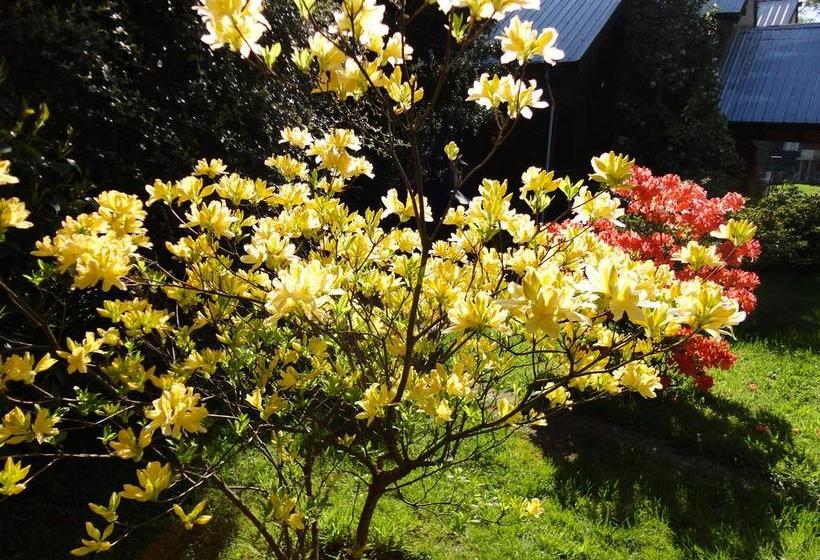 Resort Complejo Turístico Pucón | Pucon | Araucanía | Chile 8