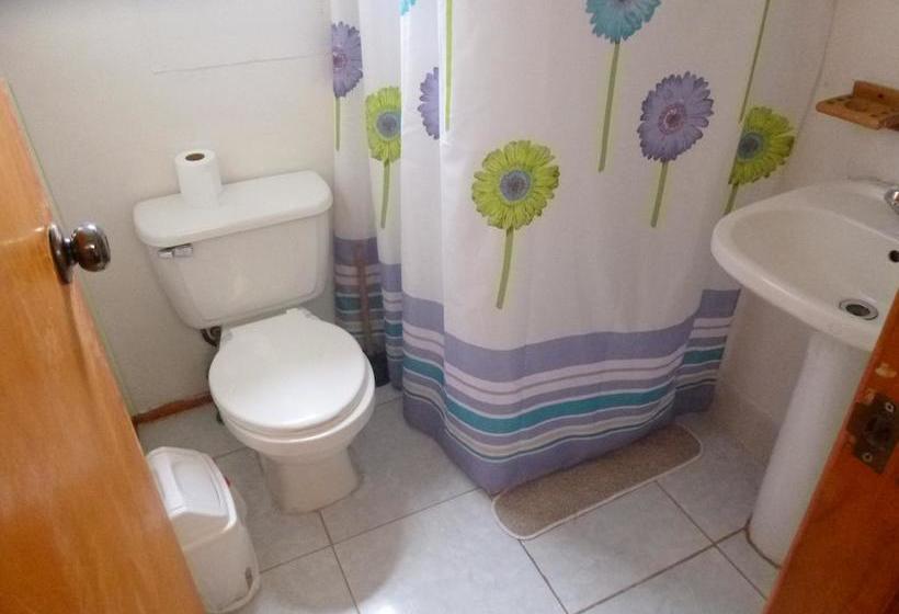 Bed and Breakfast Hostal Bellavista Patagonia | Puerto Natales | Magallanes y Antartica | Chile 8