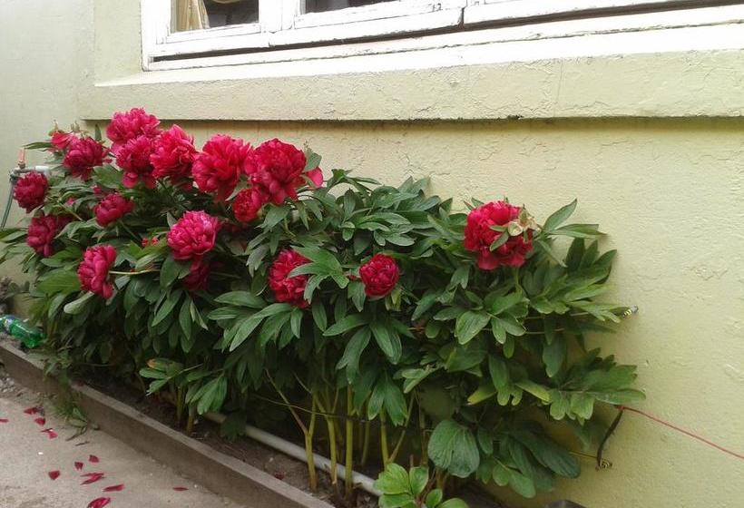 Albergue Hostal Chiloe | Punta Arenas | Magallanes y Antartica | Chile 1