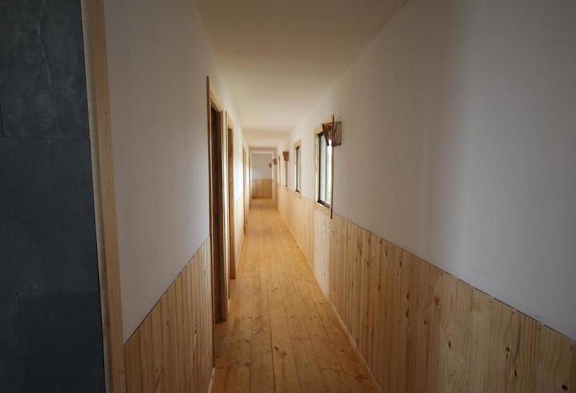 Pichilemu Hostel Casa Verde | Pichilemu | O'Higgins | Chile 16