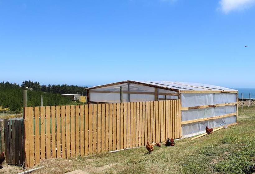 Pichilemu Hostel Casa Verde | Pichilemu | O'Higgins | Chile 18