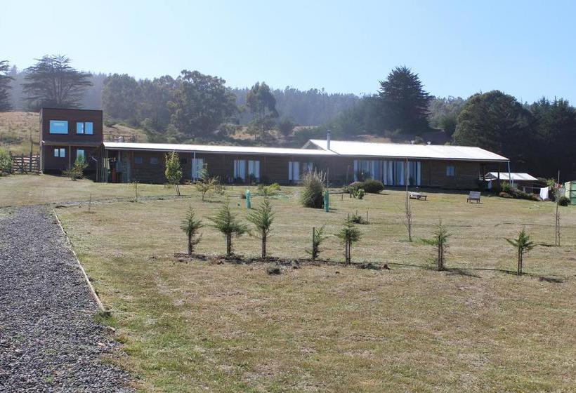 Pichilemu Hostel Casa Verde | Pichilemu | O'Higgins | Chile 9