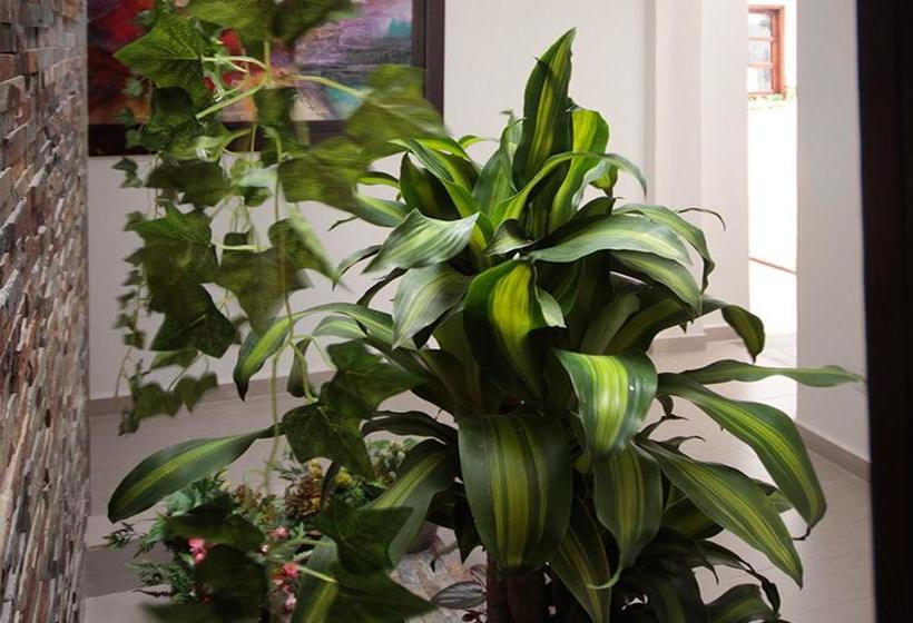 Hotel Parque Del Río | Medellín | Antioquia | Colombia 7