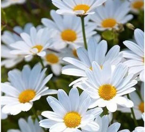 Hotel Casa Cochera Del Gobernador | Cartagena de Indias | Bolivar | Colombia 3