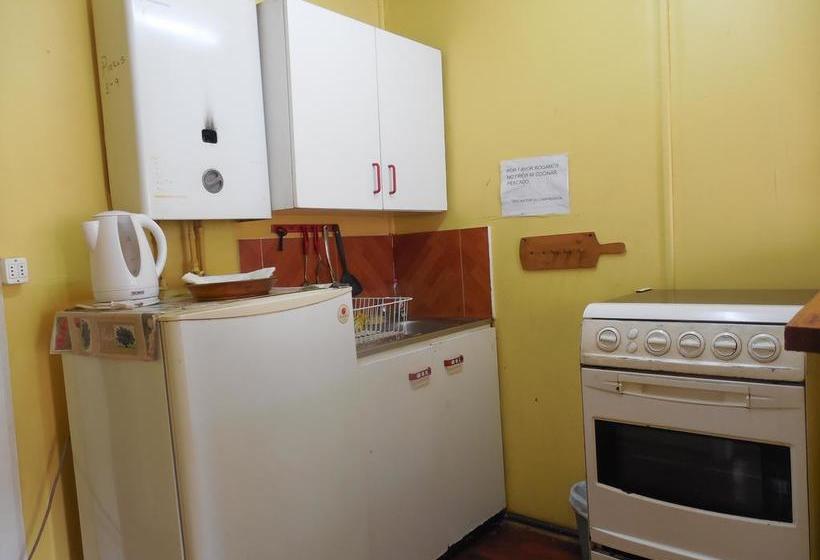 Albergue Hostal Y Cabañas Villa Beauchef | Valdivia | Los Lagos | Chile 14