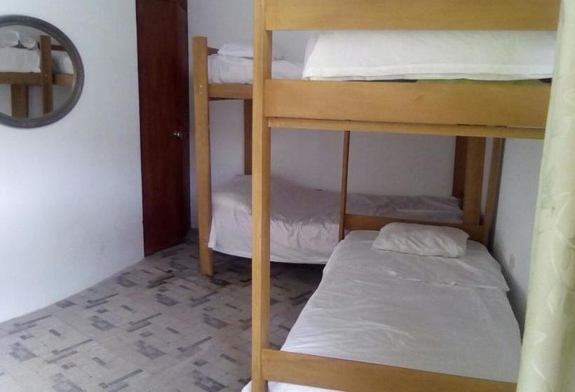 Hotel Hospedaje Dora | Máncora | Talara | Perú 3