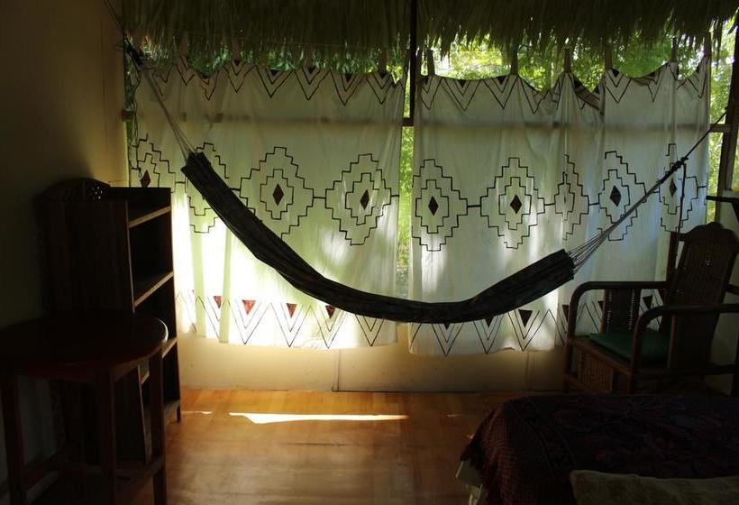 Auberge Hôtelière Amazon Green Lodge | Iquitos | Maynas | Hôtels au Pérou 12