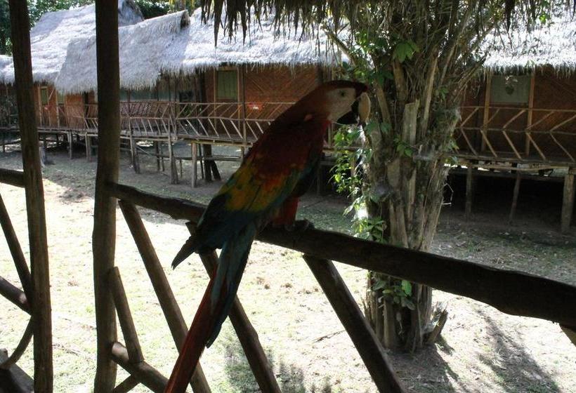 Auberge Hôtelière Amazon Green Lodge | Iquitos | Maynas | Hôtels au Pérou 17