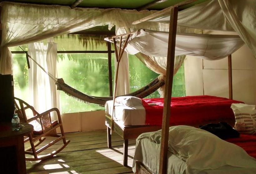 Auberge Hôtelière Amazon Green Lodge | Iquitos | Maynas | Hôtels au Pérou 19