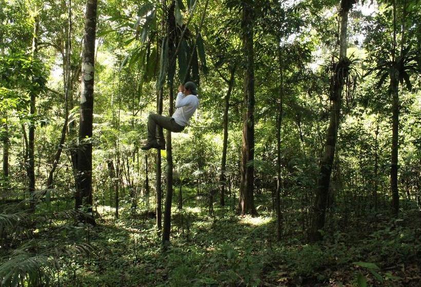 Auberge Hôtelière Amazon Green Lodge | Iquitos | Maynas | Hôtels au Pérou 6