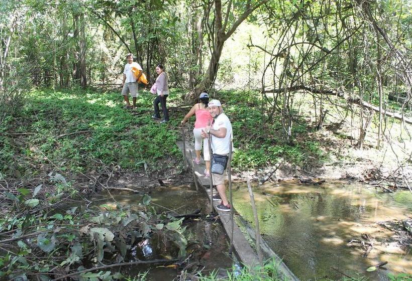 Auberge Hôtelière Amazon Green Lodge | Iquitos | Maynas | Hôtels au Pérou 7