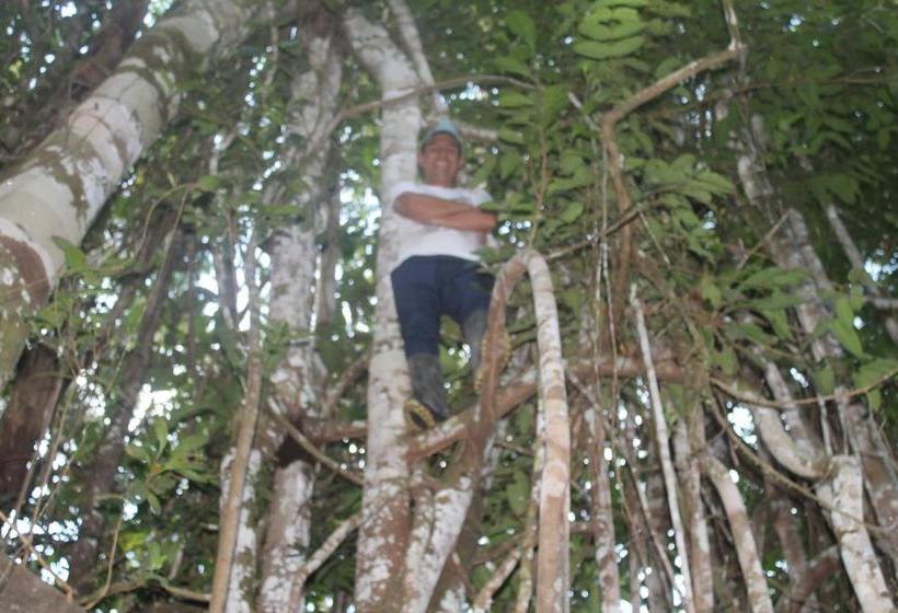 Auberge Hôtelière Amazon Green Lodge | Iquitos | Maynas | Hôtels au Pérou 8