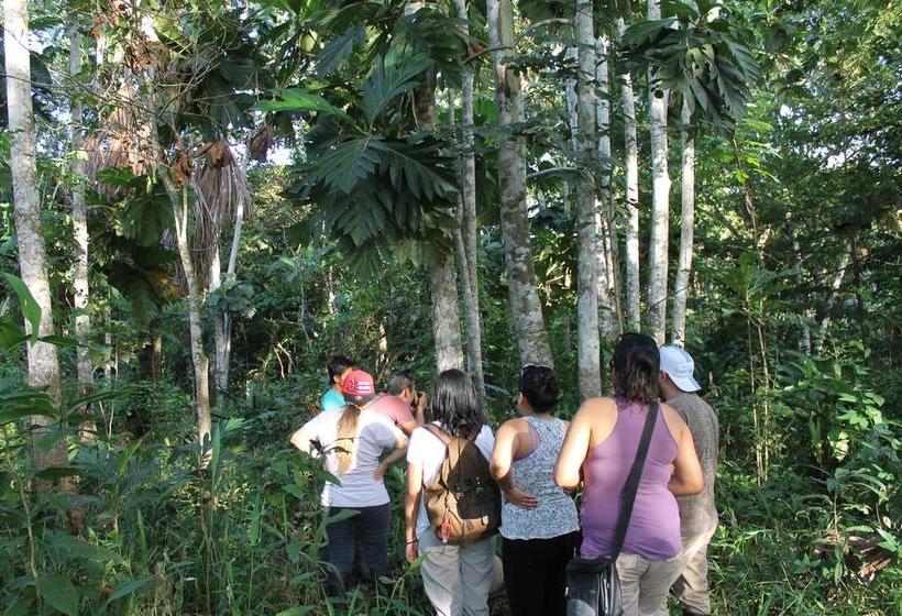 Auberge Hôtelière Amazon Green Lodge | Iquitos | Maynas | Hôtels au Pérou 9