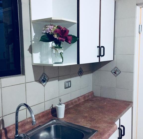 Bed and Breakfast Patagonico Talca | Talca | Maule | Chile 12