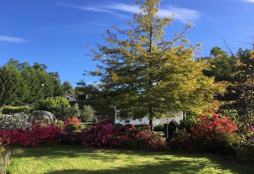 Hotel Cabañas Almahue | Pucon | Araucanía | Chile 20