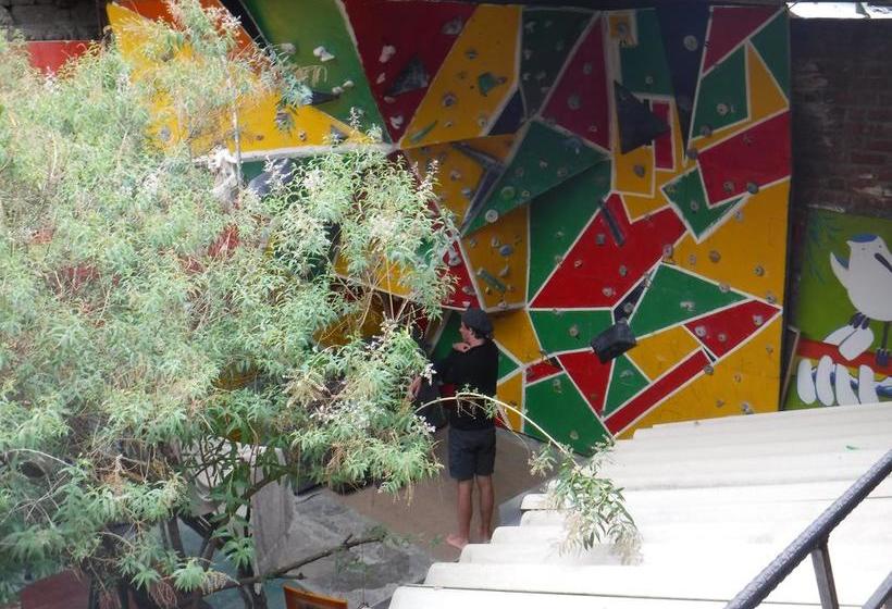 Albergue Monkey Wasi Hospedaje | Huaraz | Huaraz | Perú 1