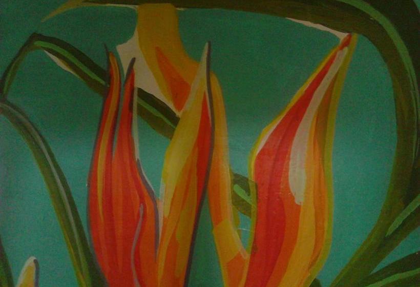 Bed and Breakfast Tonga Soa | Taganga | Magdalena | Colombia 1