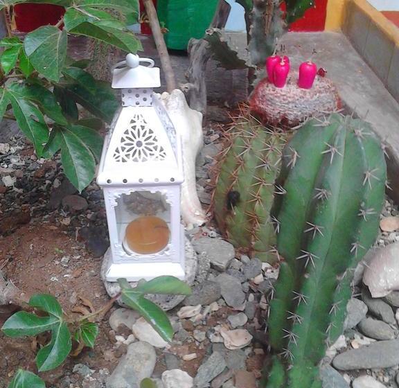 Bed and Breakfast Tonga Soa | Taganga | Magdalena | Colombia 9