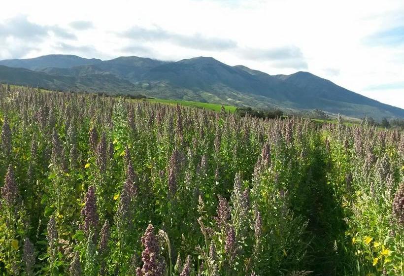 Bed and Breakfast Quichua Homestay Lodge | Otavalo | Imbabura | Ecuador 15