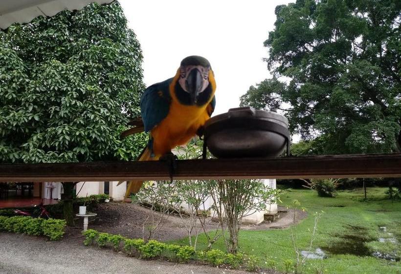 Hotel Campestre La Macarena | Villavicencio | Meta | Colombia 3
