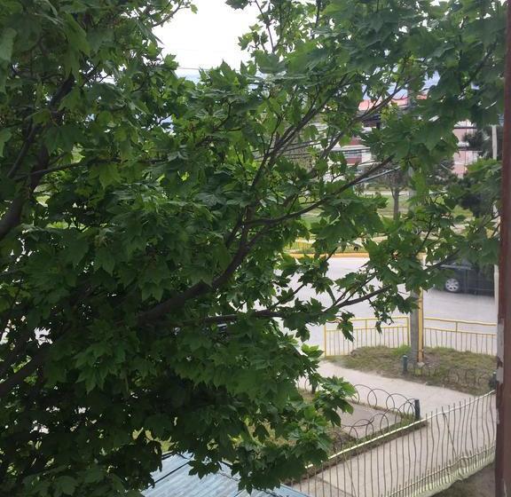 Albergue Hostal Gran Avenida | Punta Arenas | Magallanes y Antartica | Chile 19